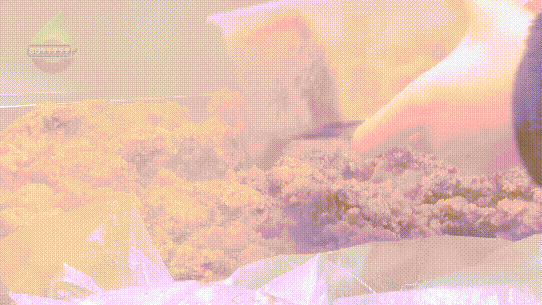 融融！这些御寒姿势总有一款适合你麻将胡了2模拟器试玩热腾腾、暖