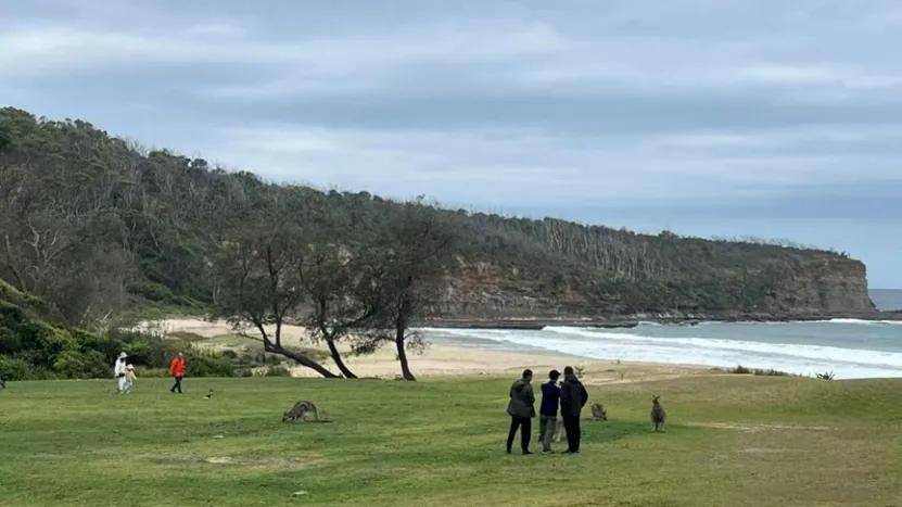 “麻辣革命”川菜与火锅流行于澳洲麻将胡了模拟器南半球餐桌上演的(图14) “麻辣革命”川菜与火锅流行于澳洲麻将胡了模拟器南半球餐桌上演的(图14)
